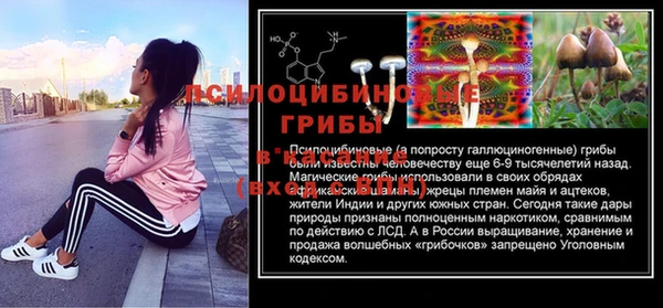героин Пересвет