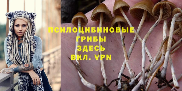 спиды Переславль-Залесский